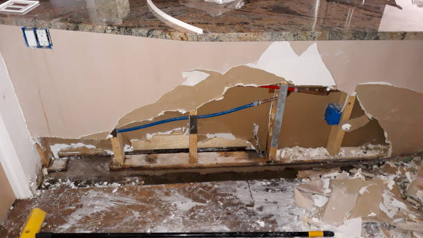 Best Water damage mitigation services  in Tubac, AZ