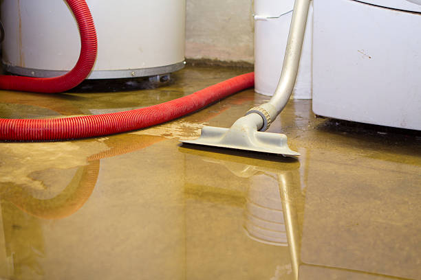 Water damage restoration experts in AZ