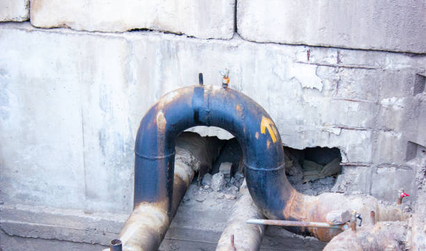 Best Flood damage cleanup  in Tubac, AZ